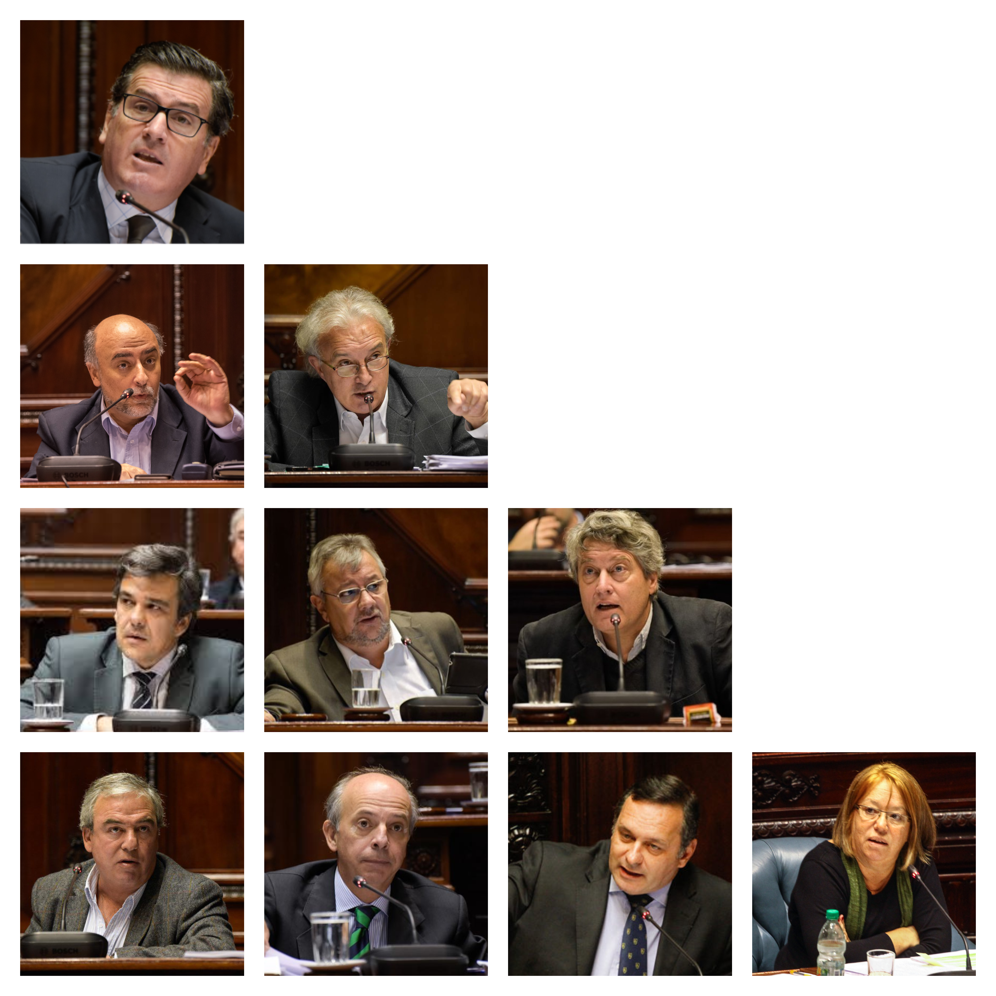 Esfuerzo parlamentario: senadores 2015-2019